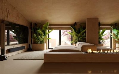 Discover Organic Modern Interior Design 