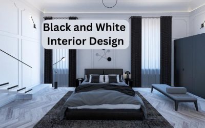 Stylish Simplicity: Exploring the Beauty of Black and White Interior Design