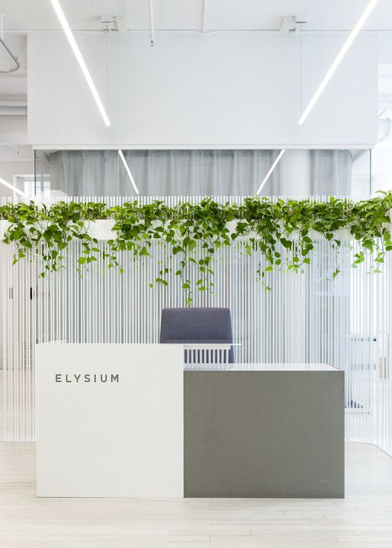 Add Plants in Creative Small Office Interior Design 
