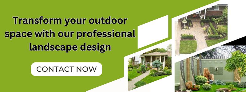 Transform your outdoor space with our professional landscape design