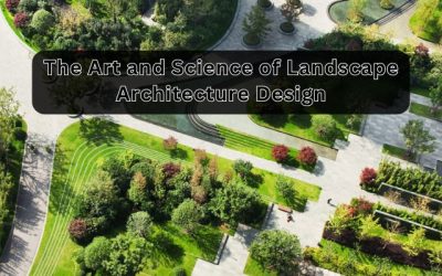 Transforming Spaces: The Art and Science of Landscape Architecture Design